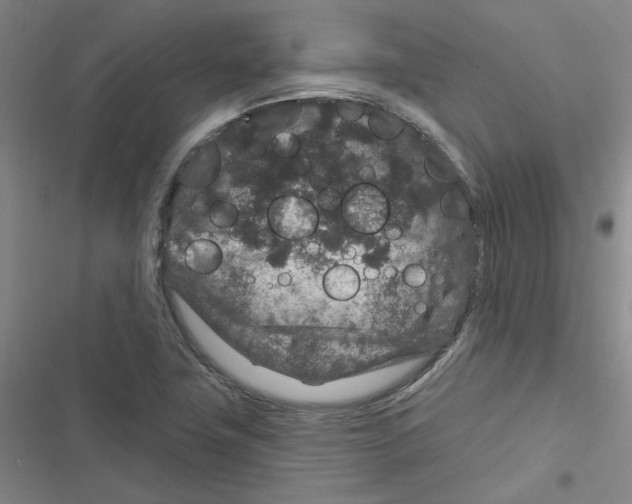 X0000116871411201001191713