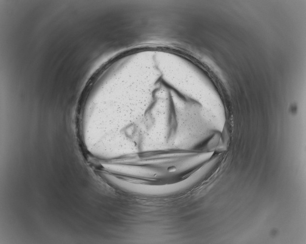 X0000116871412201001191713