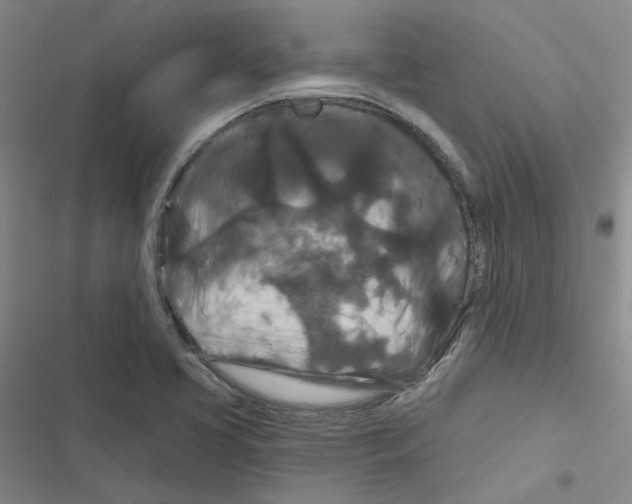 X0000116871413201001191713
