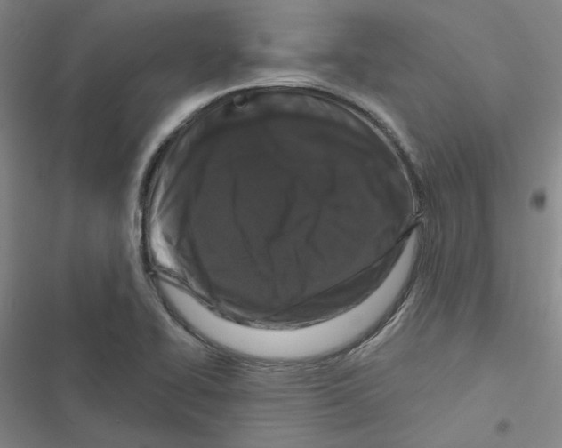 X0000116871414201001191713