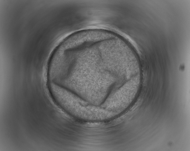 X0000116871415201001191713