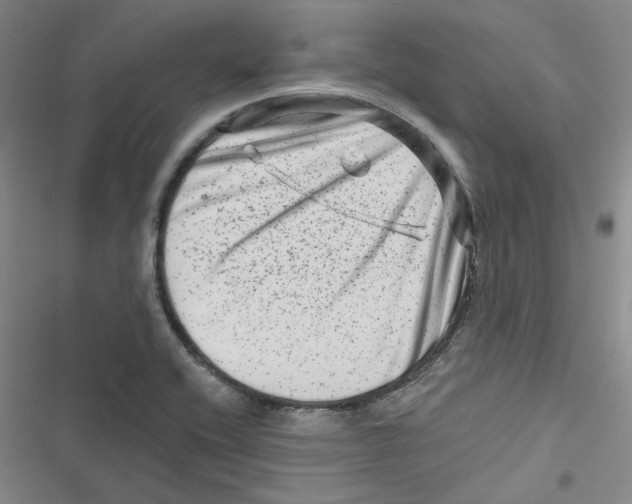 X0000116871416201001191713