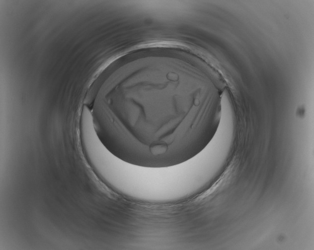 X0000116871417201001191713