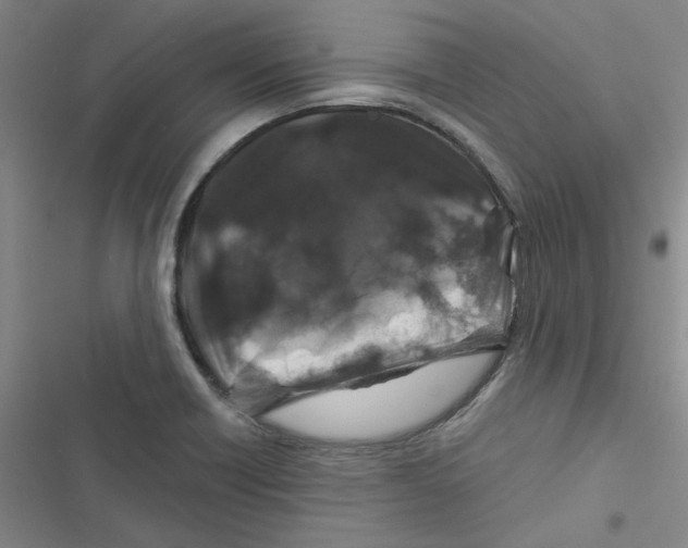 X0000116871418201001191713