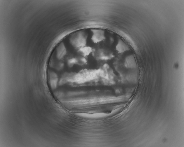 X0000116871419201001191713