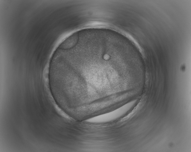X0000116871421201001191713