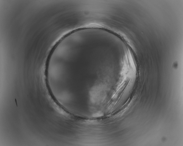 X0000116871422201001191713