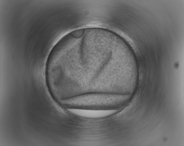 X0000116871423201001191713