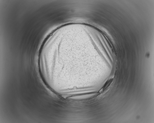 X0000116871424201001191713
