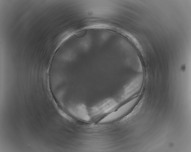 X0000116871425201001191713