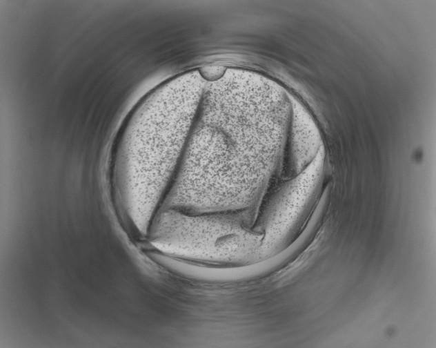 X0000116871426201001191713