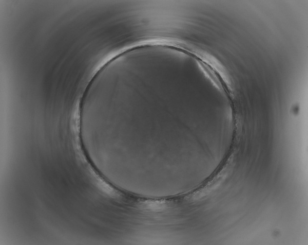 X0000116871428201001191713
