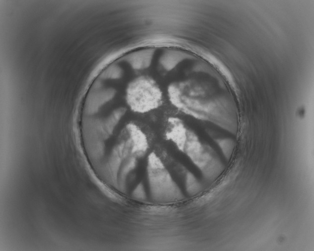 X0000116871429201001191713