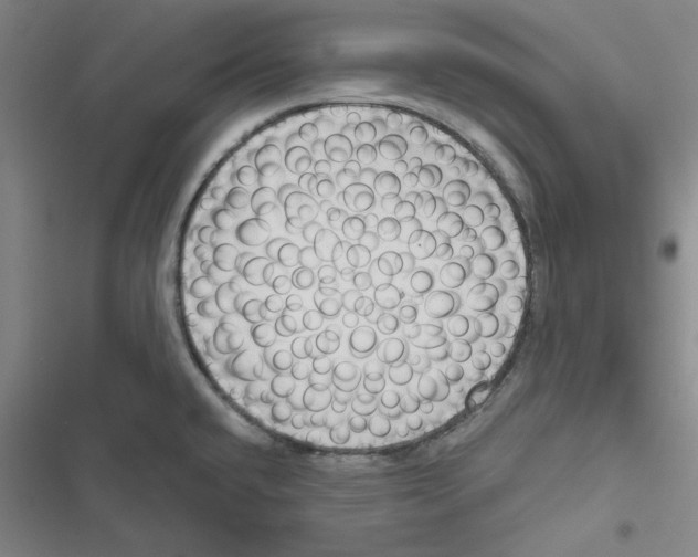 X0000116871432201001191713