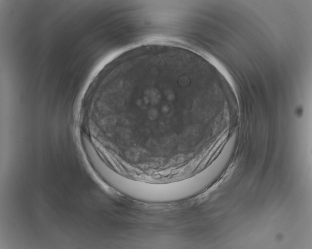 X0000116871437201001191713