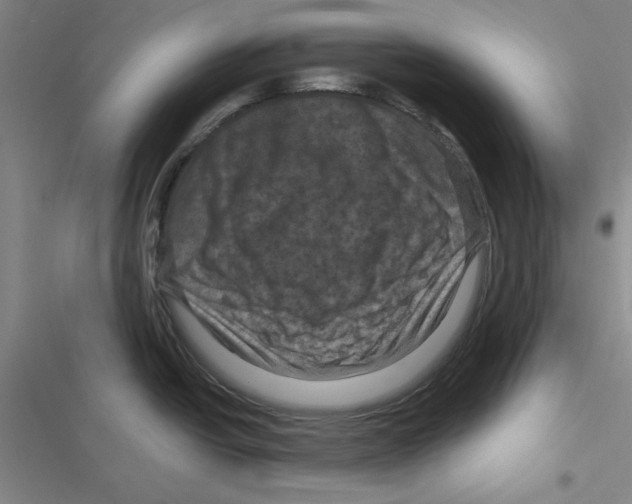 X0000116871438201001191713