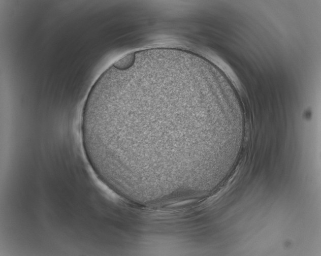 X0000116871439201001191713