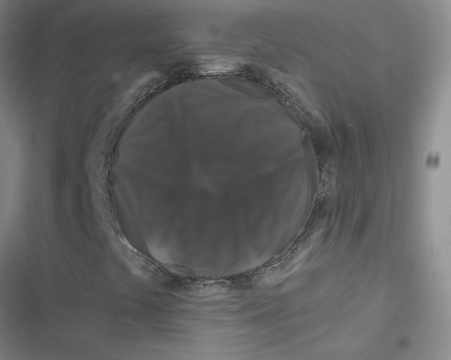 X0000116871441201001191713