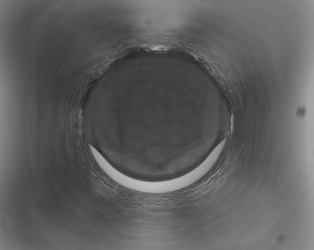 X0000116871443201001191713