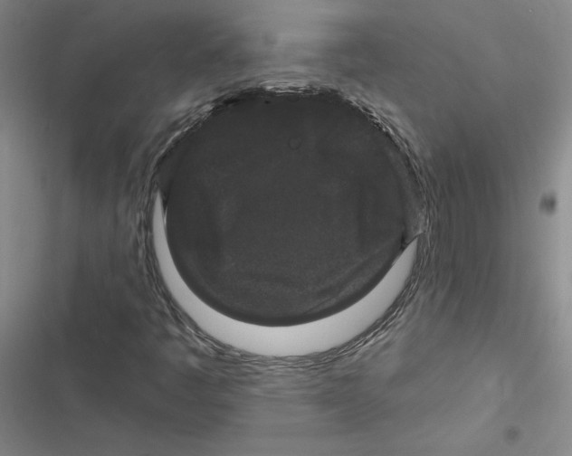 X0000116871445201001191713