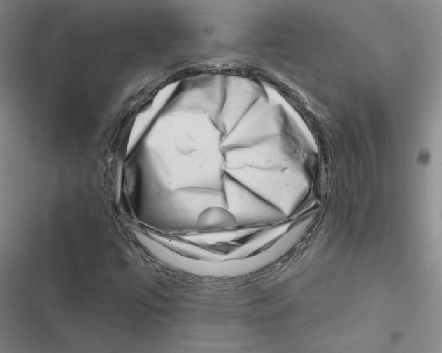 X0000116871447201001191713