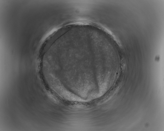 X0000116871448201001191713