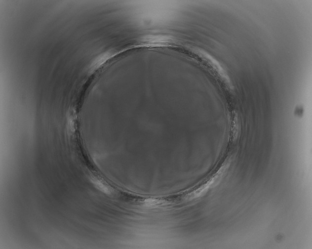 X0000116871449201001191713