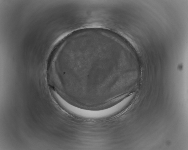 X0000116871452201001191712