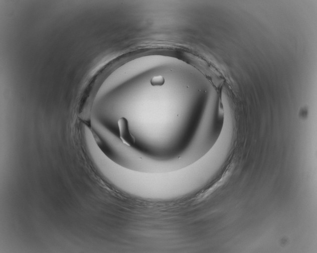 X0000116871453201001191712