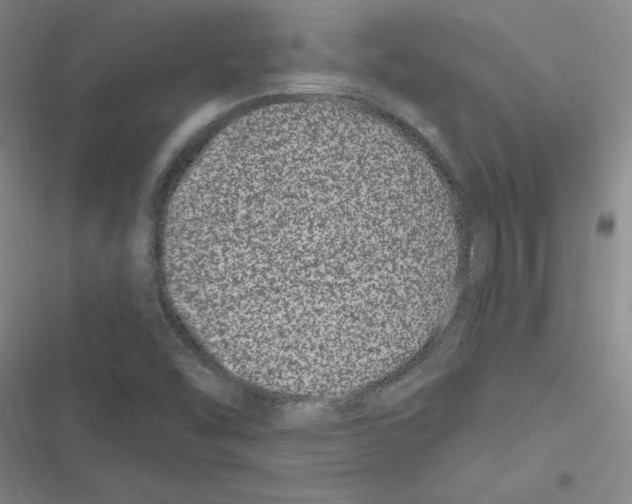 X0000116871454201001191712
