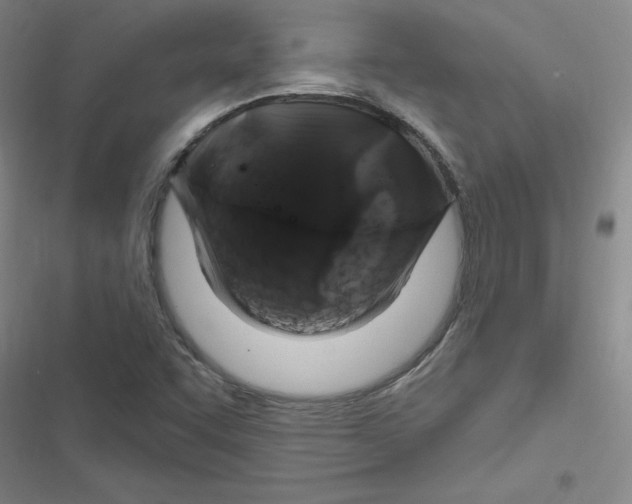 X0000116871455201001191712