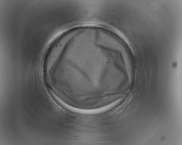 X0000116871456201001191712