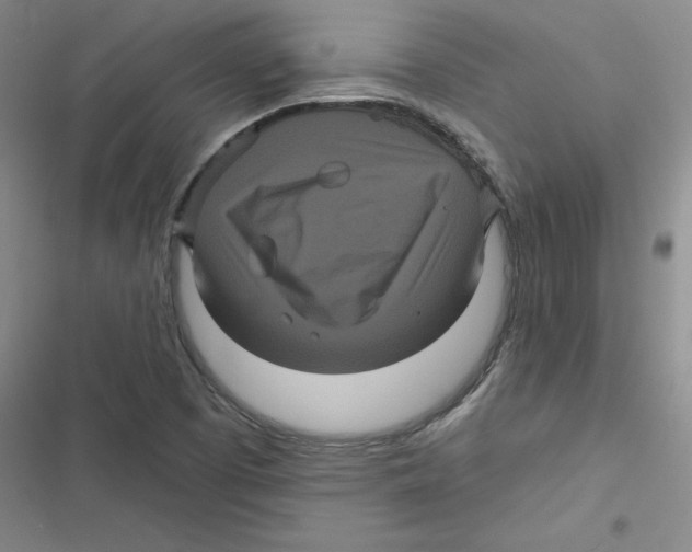 X0000116871457201001191712