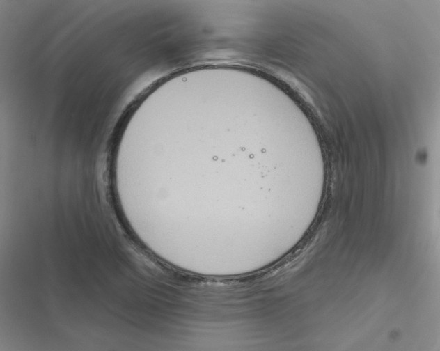 X0000116871458201001191712