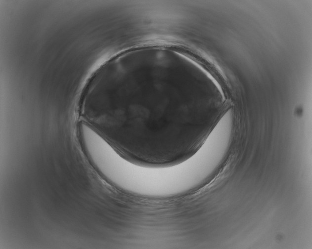 X0000116871459201001191712