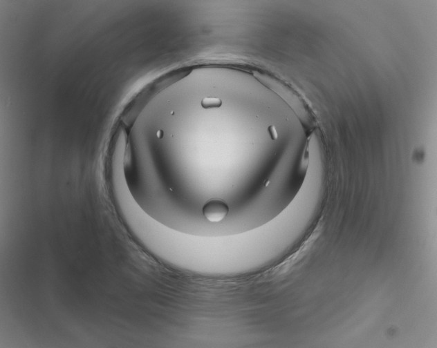 X0000116871461201001191712