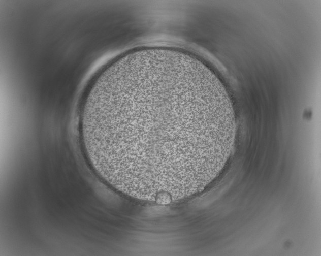X0000116871462201001191712