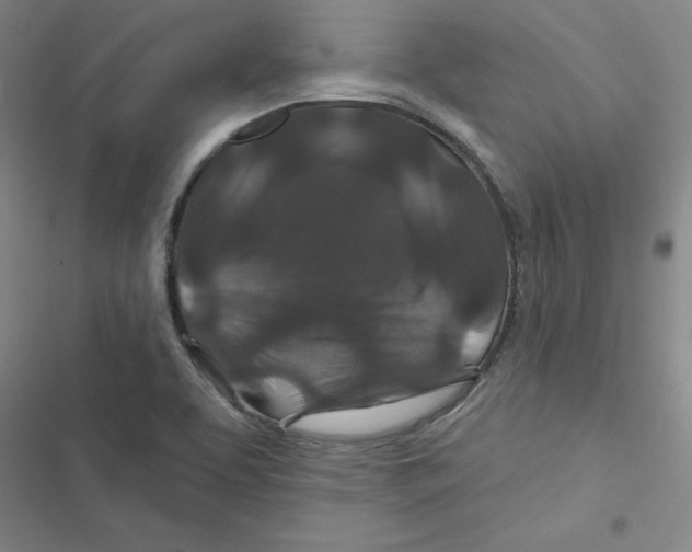 X0000116871463201001191712