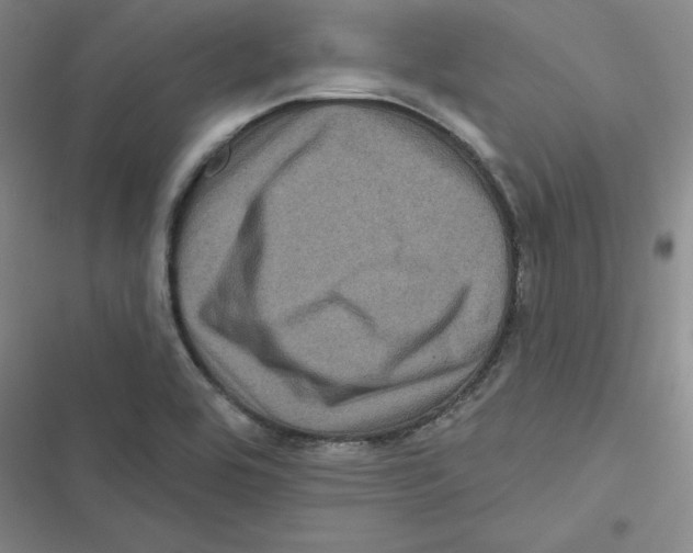 X0000116871464201001191712
