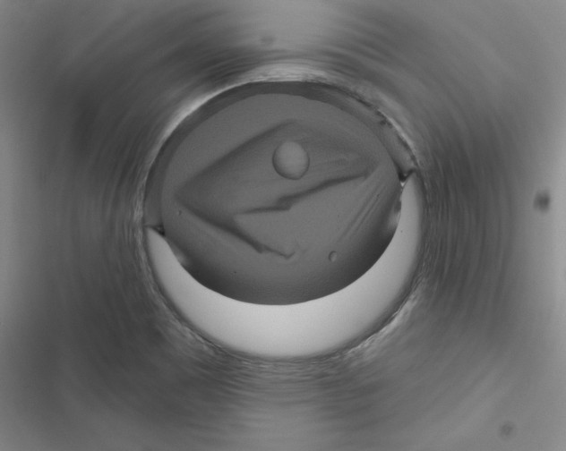 X0000116871465201001191712