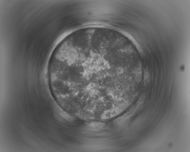 X0000116871466201001191712