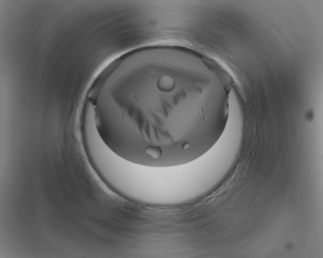 X0000116871468201001191712