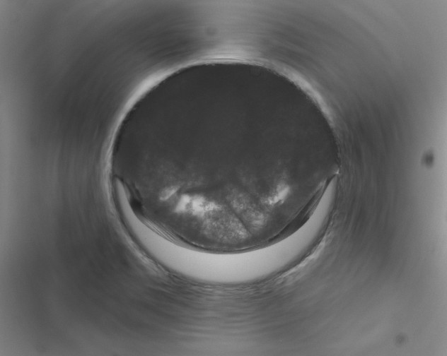 X0000116871469201001191712
