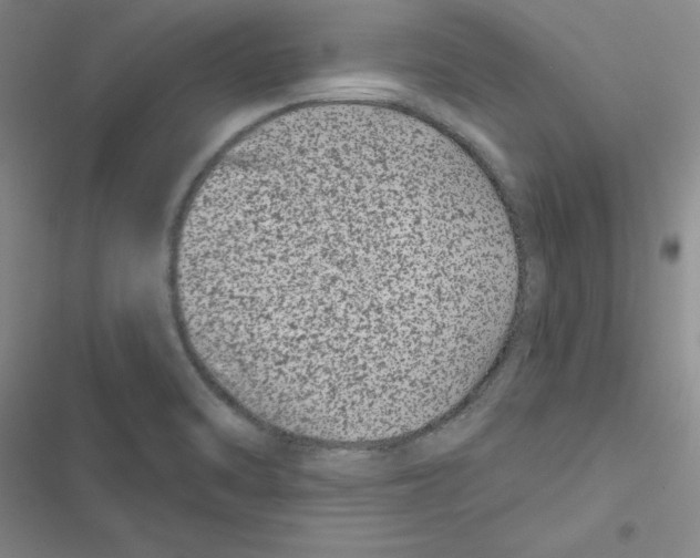 X0000116871470201001191712