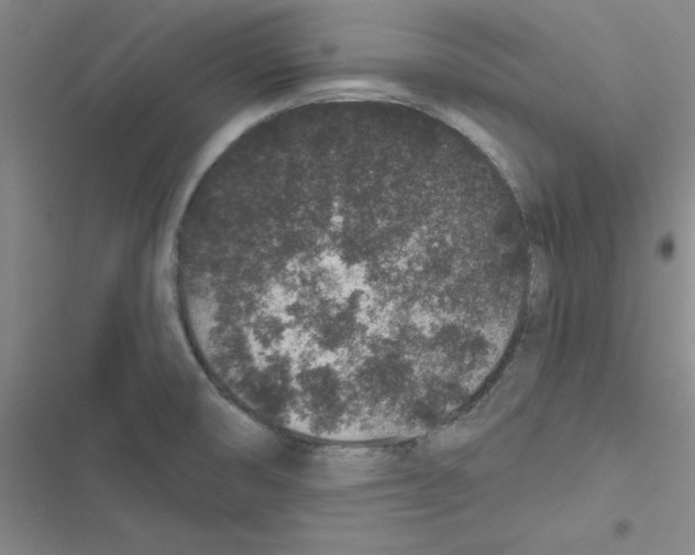 X0000116871474201001191712