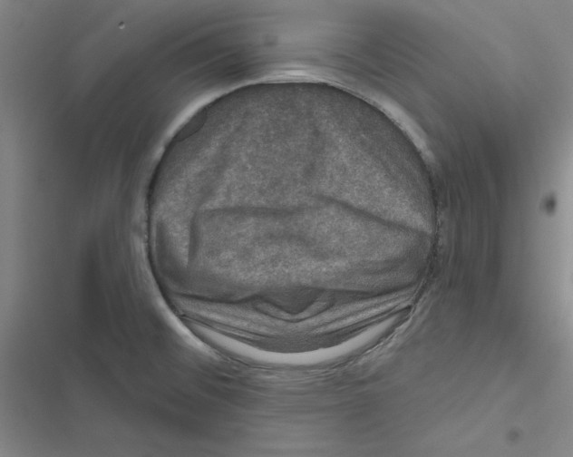 X0000116871476201001191712