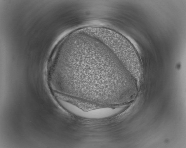 X0000116871477201001191712
