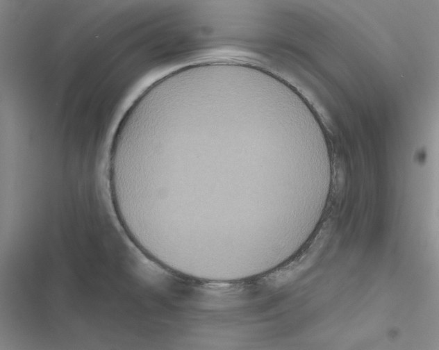 X0000116871478201001191712