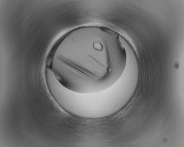 X0000116871480201001191712