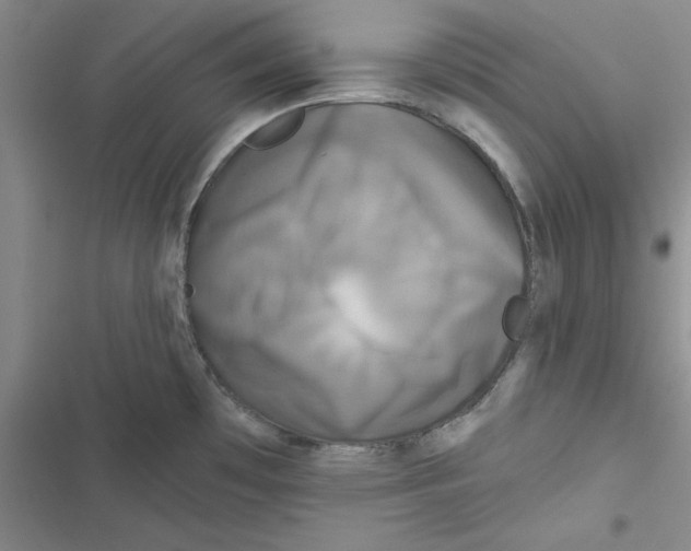 X0000116871481201001191712
